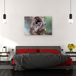 Tablou canvas - Ascuns, Bufnita, Pasare, Copac, 40 x 60 cm - Img 3