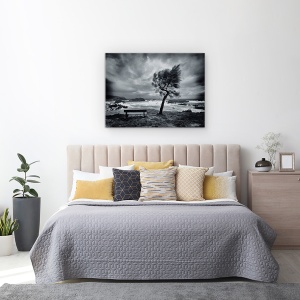 Tablou canvas - Astazi Nimeni, Vant, Alb-Negru, Suflare, 50 x 70 cm - Img 3