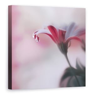 Tablou canvas - Atingere Invizibila, Perla, Picatura, Floare, 90 x 90 cm