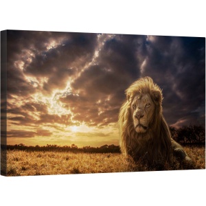 Tablou canvas - Aventuri in Savana, Regele Leu, Animale, Aventura, Africa, Savana, Safari, 50 x 80 cm