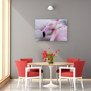 Tablou canvas - Blandetea Unica, Franta, Iaz, Roz, Flamingo, Pont De Gau, 40 x 60 cm - Img 4