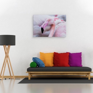 Tablou canvas - Blandetea Unica, Franta, Iaz, Roz, Flamingo, Pont De Gau, 60 x 90 cm - Img 2