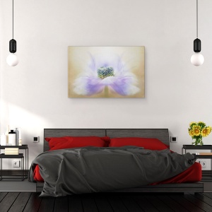 Tablou canvas - Briza, Anemona, Floare, Macro, Moale, 80 x 120 cm - Img 3