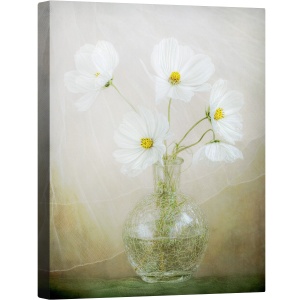 Tablou canvas - Briza Cosmosului, Cosmos, Alb, Natura Moarta, Vaza, Tabere, 75 x 100 cm