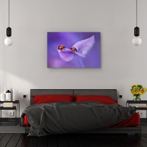Tablou canvas - Buburuze pe hortensie, Flori, Violet, Dragoste, Romantic, 60 x 90 cm - Img 3