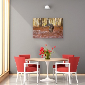 Tablou canvas - Bufnita Gri, Pasare, 80 x 120 cm - Img 4