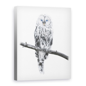 Tablou canvas - Bufnita Libertatii, Carisma, Inteligenta, Armonie, Pasare, Salbatic, 50 x 70 cm