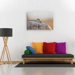 Tablou canvas - Bufnita Mica, Ochi, Privind, 80 x 120 cm - Img 2