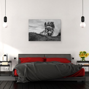 Tablou canvas - Buna, Islanda, Animale, Cai, Fata, Furtun, 60 x 90 cm - Img 3