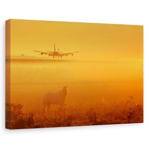 Tablou canvas - Cal, Avion De Pasageri, Aterizare, Teren, 60 x 90 cm
