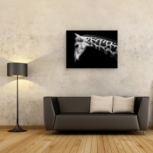 Tablou Canvas - Calf, Girafa, 75 x 100 cm - Img 2