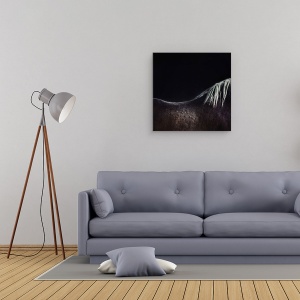Tablou canvas - Calul Gol, Bruges, Belgia, Animale, Abstract, Coama, 90 x 90 cm - Img 2