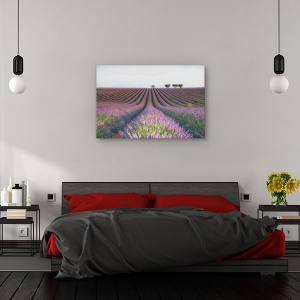 Tablou canvas - Catifea mov/Lavanda catifelata, Peisaj, Flori, Camp, Violet, 60 x 90 cm - Img 3