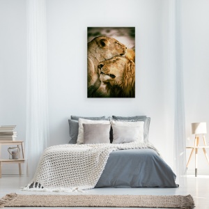Tablou canvas - Ce Este Dragostea, Afectiune, Iubire, Imbratisare, Felina, Leu, 60 x 90 cm - Img 3