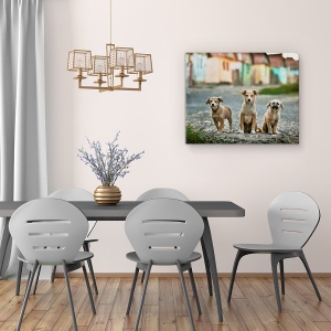 Tablou canvas - Cei Trei Muschetari, Animale De Companie, Caini, Case, Cladiri, 60 x 75 cm - Img 4