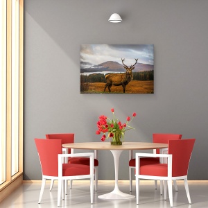 Tablou canvas - Cerbul Scotian, Cerb, Caprioara, Coarne De Cerb, 40 x 60 cm - Img 4