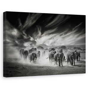 Tablou canvas - Cerul, Praful Si Elefantii, Salbatic, Natura, Animale, 80 x 120 cm