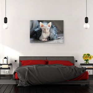 Tablou canvas - Cleo, Pisica, Animal, Pet, Suparat, Furie, 60 x 90 cm - Img 3