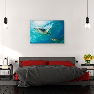 Tablou canvas - Contact, Mare, Philipiines, Broasca Testoasa, 40 x 60 cm - Img 3