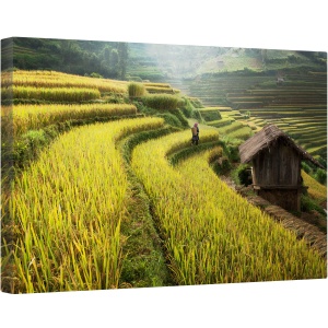 Tablou canvas - Continua Sa Mergi, Terasa, Terase, Ferma, Agricultura, Plantatie, Orez, 40 x 60 cm