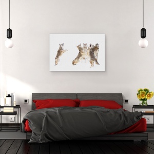 Tablou canvas - Corul - Coioti, Dansand, Iarna, Cantand, Canada, 80 x 120 cm - Img 3