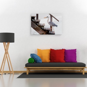 Tablou canvas - Cu Un Pas Ferm, Heron, Scari, Maldive, Pasare, 40 x 60 cm - Img 2
