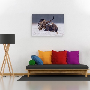 Tablou canvas - Dansand In Zapada, Salbatic, Pasare, 80 x 120 cm - Img 2