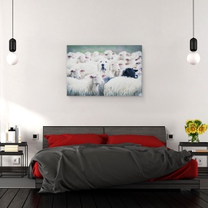 Tablou canvas - Deghizat, Animale, Oi, Miel, Pastor, Caine, 60 x 90 cm - Img 3