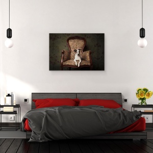 Tablou canvas - Doamna Molly, Caini, Caine, Studio, Animal, 80 x 120 cm - Img 3