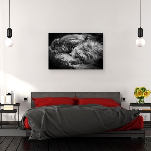 Tablou canvas - Dormind, Maimuta, Obosit, Odihna, 60 x 90 cm - Img 3