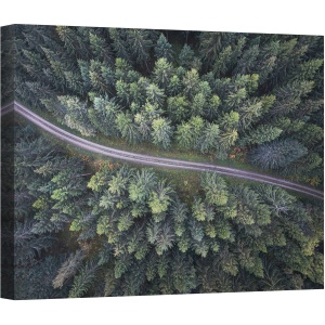 Tablou canvas - Drum Prin Padure, Aerial, Peisaj, Pomi, Copac, Padure, Verde, 60 x 80 cm