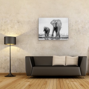 Tablou canvas - Duo, Elefant, Copil, Dragut, Salbatic, Africa, 60 x 80 cm - Img 2