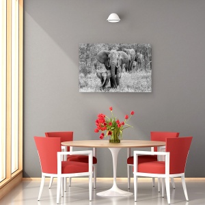 Tablou canvas - Elefamily, Elefant, Tanzania, Animale, Mamifere, Natura, 60 x 90 cm - Img 4
