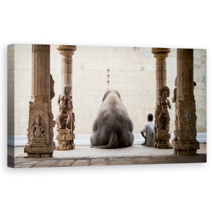 Tablou canvas - Elefantul Si Mahotul Sau, Templu, India, Strada, 50 x 100 cm