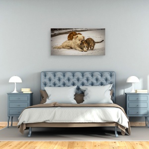 Tablou canvas - Emisii Dulci, Strada, Dragoste, Animale, Caine, 50 x 100 cm - Img 3