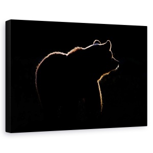 Tablou canvas - Evidentiati, Urs, Rim, Lumina, Salbatic, Schita, 40 x 60 cm