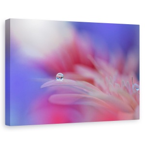 Tablou canvas - Explozie Colorata, Perla, Picatura, Apa, Picatura, Floare, 60 x 90 cm