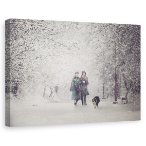 Tablou canvas - Farmecul Furtunii De Zapada, Emotie, Sentiment, Viscol, 40 x 60 cm