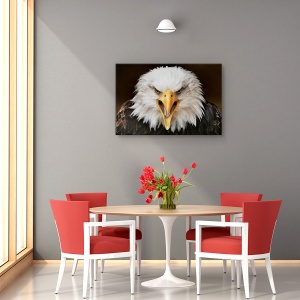Tablou canvas - Ferocitate, Animal, Vultur, Feroce, 40 x 60 cm - Img 4