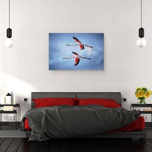 Tablou canvas - Flamingo Mai Mari, Camargue, Pasari, Natura, Salbatic, 80 x 120 cm - Img 3