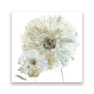 Tablou Canvas - Floral, Flori, Papadie, Pictura, Alb, 60 x 60 cm
