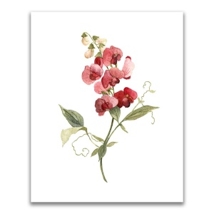 Tablou Canvas - Flori, Floare, Primavara, Rosu, 60 x 75 cm