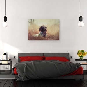 Tablou canvas - Frumoasa Aragorn, Portret, Caini, Animale, 60 x 90 cm - Img 3