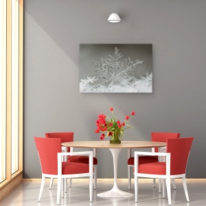 Tablou canvas - Fulg De Nea, Gheata, Inghet, 40 x 60 cm - Img 4