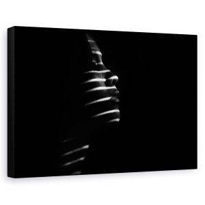 Tablou canvas - Gendis, Zebra, Lumina, Jaluzele, Dungi, Linii, 60 x 90 cm