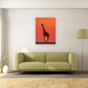 Tablou canvas - Girafa In Apus De Soare, Salbatic, Kenya, Salbatic, 60 x 80 cm - Img 2