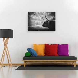 Tablou canvas - Highlands, Silueta, Bizon, Animal, Peisaj, Coarne, 40 x 60 cm - Img 2