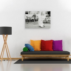Tablou canvas - Hot Dog, Strada, Urban, Bucuresti, Caine, Romania, 60 x 90 cm - Img 2