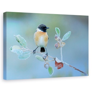 Tablou canvas - Iarna Grea, Natura, Pasare, Salbatic, Copac, Membre, 60 x 90 cm