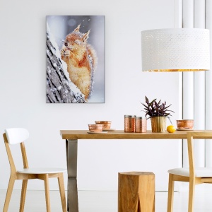 Tablou Canvas - Iarna, Veverita, Fauna Salbatica, Iarna, Zapada, Inghet, 80 x 120 cm - Img 2
